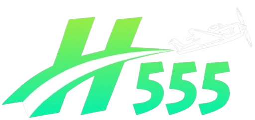bdh555.com Logo